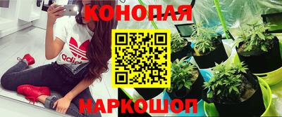 MDMA Канаш