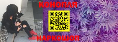 гидра Кандалакша