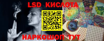 гидра Кандалакша