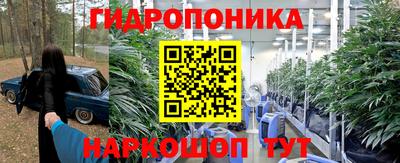гидра Кандалакша