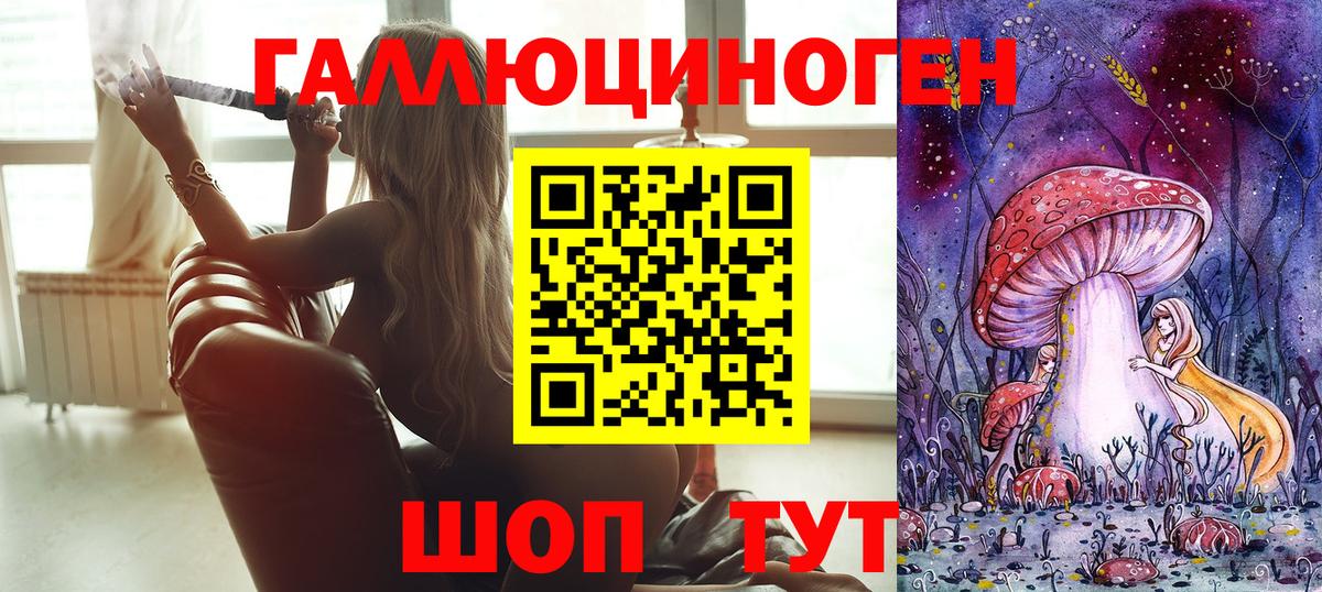 Псилоцибиновые грибы Psilocybe  Вход с VPN  Лесной 