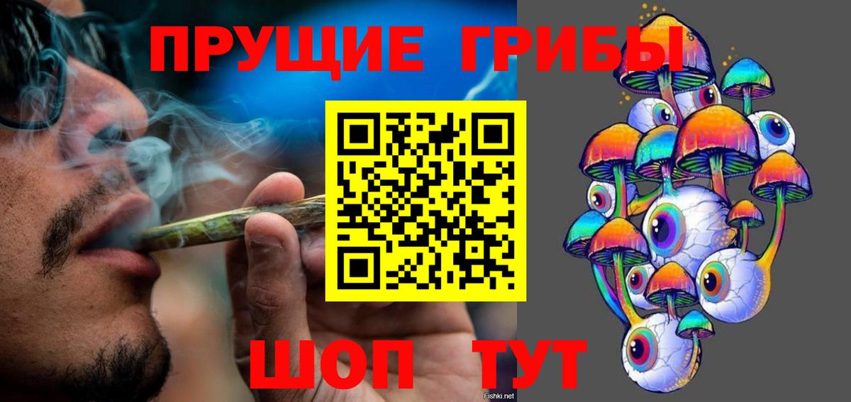 Галлюциногенные грибы Psilocybe Лесной